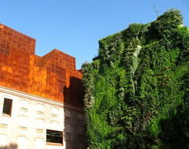 法国植物学家建造出令人惊叹的空中垂直花园