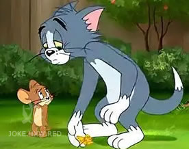 用心良苦：猫写给老鼠吱吱的搞笑情书